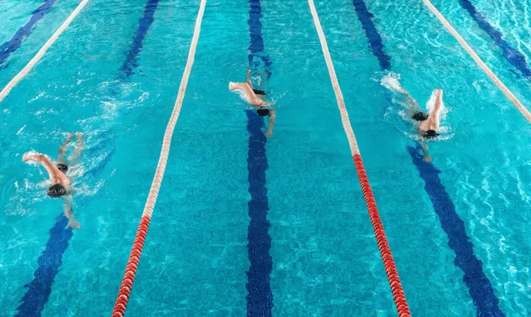Natation